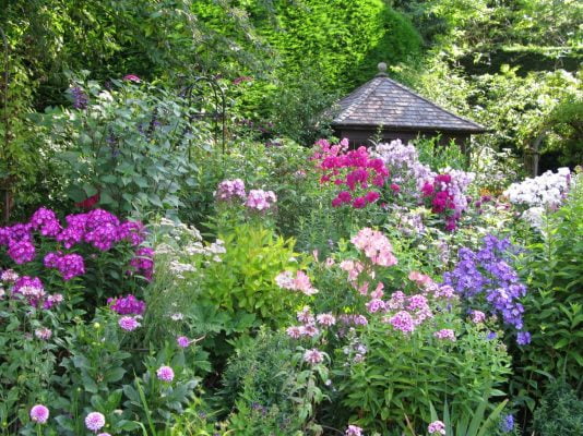 Flower bed with pink and purple flowers.