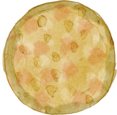 Illustration of a sponge