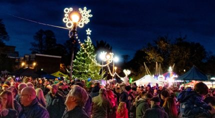 Christmas lights and people in park at dark