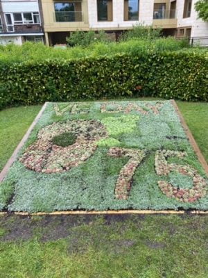 Carpet bed made from flowers in shape of a red poppy and the number 75