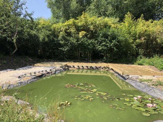 Pond filled with green water and lilies. Pontoon under construction in mid ground. Trees in background