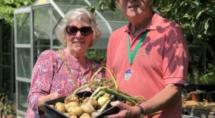 Man and woman holding a basket of potatoes and garlic. Greenhouse and trees in background