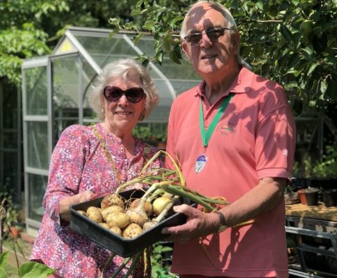 Man and woman holding a basket of potatoes and garlic. Greenhouse and trees in background