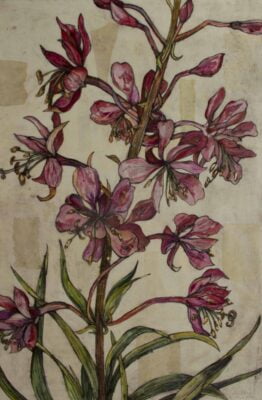Collage showing a pink flower