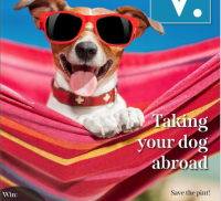 Dog wearing sunglasses on the front cover of a magazine