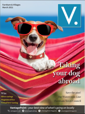 Dog wearing sunglasses on the front cover of a magazine