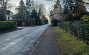 Winter trees at the end of a quiet road and footpath.