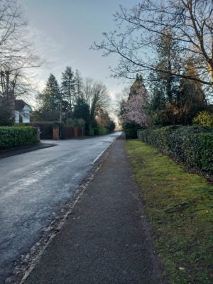 Winter trees at the end of a quiet road and footpath.