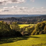 A photo of the Surrey Hills