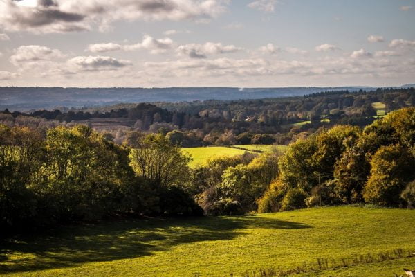 A photo of the Surrey Hills