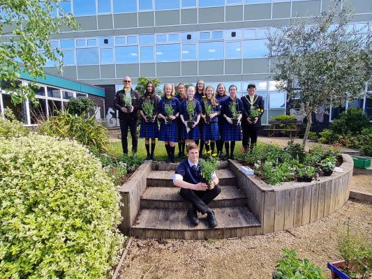 Group of students holding plant and standing on a raised grass area.