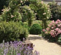 Floral archway in Victoria Garden