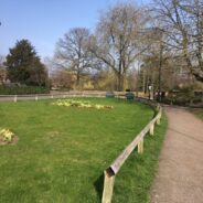 Small grass area with footpath alongside.