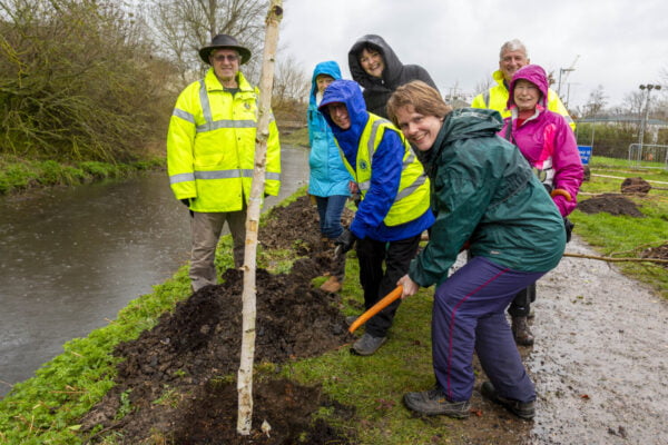 Group of people digging a hole to plant a tree