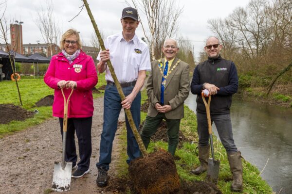 Four people with shovels planting a tree