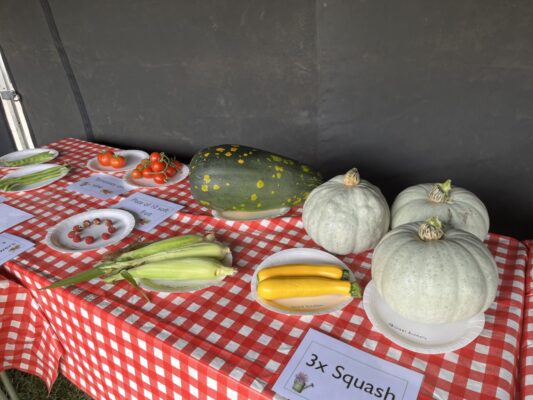 Farnham allotment show 2022