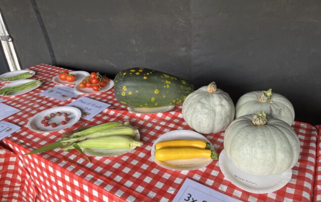 Farnham allotment show 2022