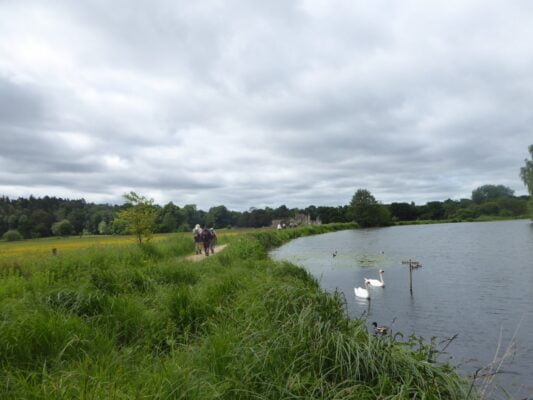 Image of people walking along to Waverley Abbey by a pond.