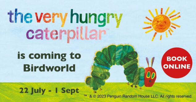 Hungry Caterpillar event poster