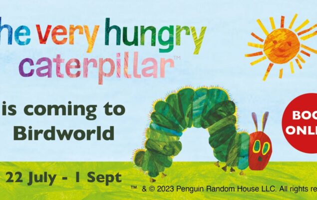 Hungry Caterpillar event poster