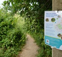 Footpath through trees. Poster on a tree on the right of the path.