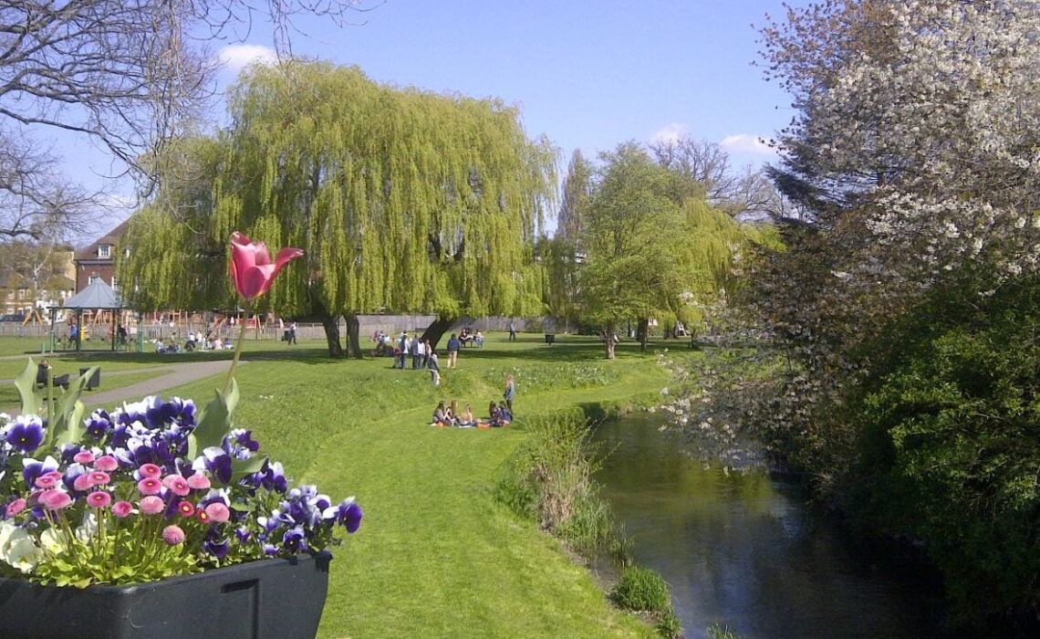 Tree work at Gostrey Meadow