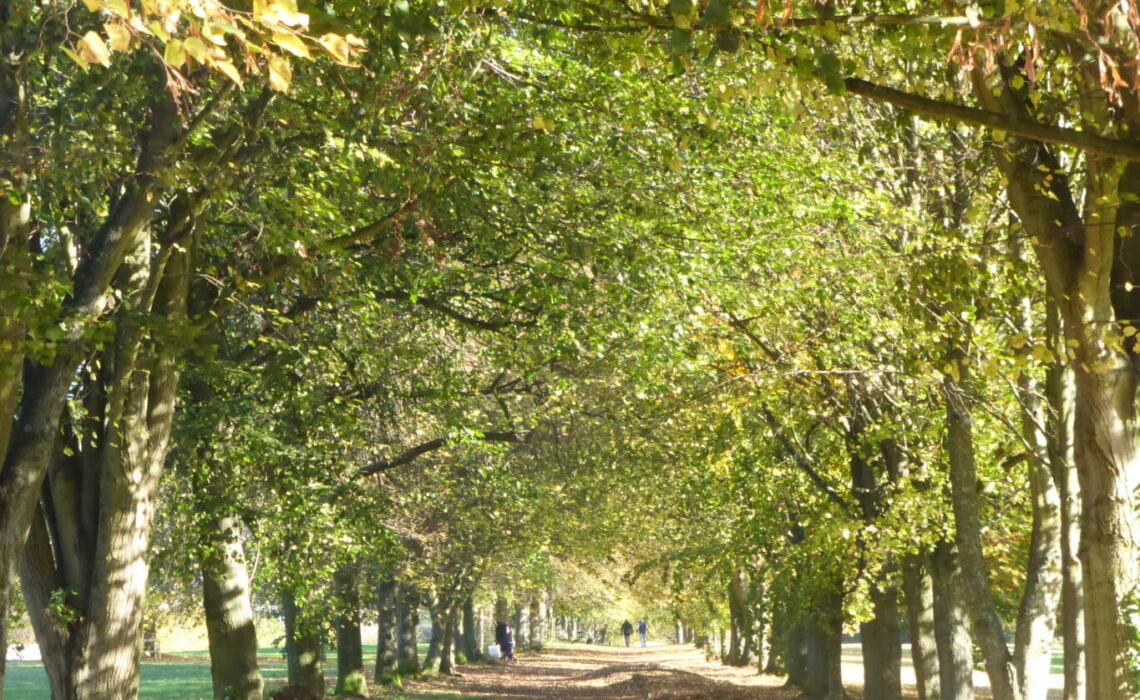 Creating a greener Farnham