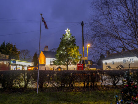 A Christmas tree in the middle of a roundabout