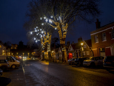 A street with three large trees decorated in Christmas lights