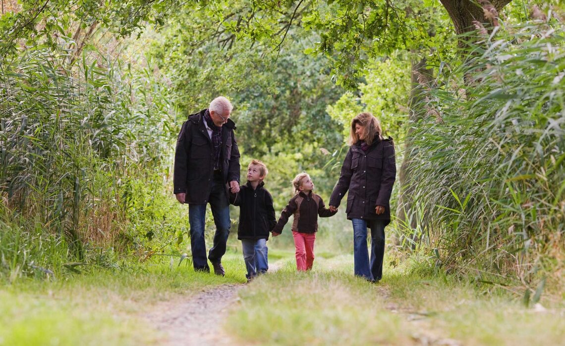 Discover new walks in Farnham