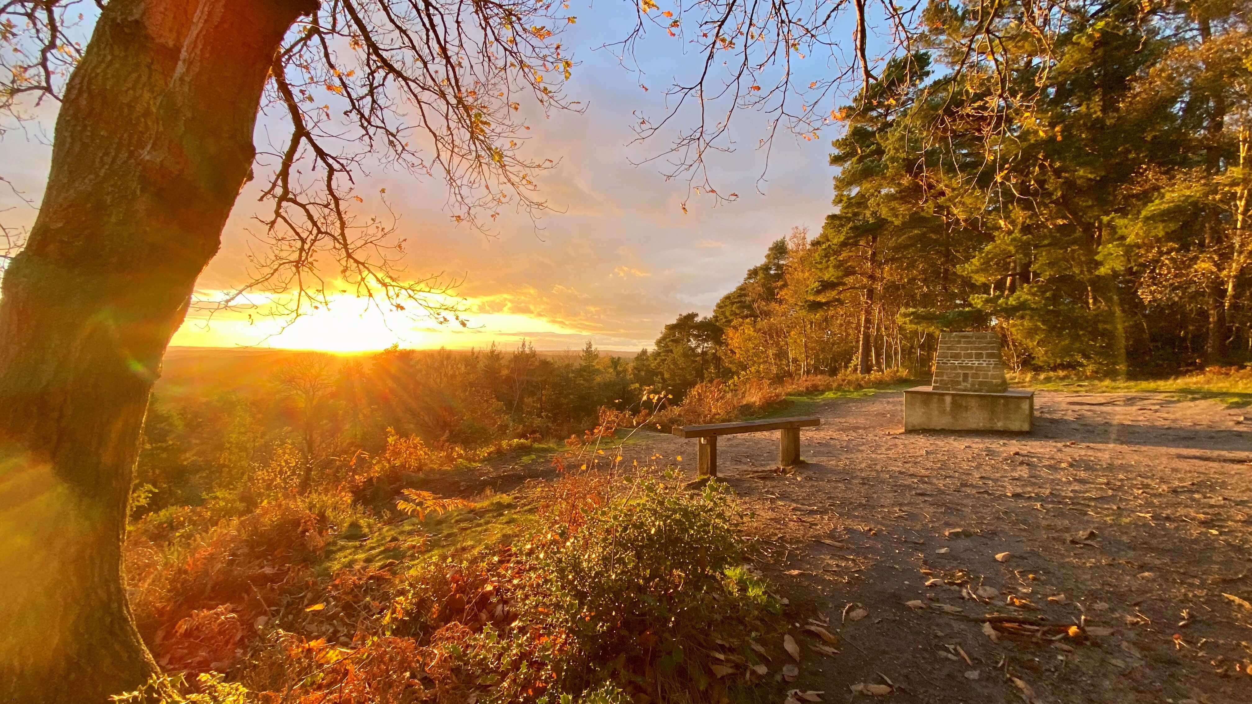 Crooksbury Hill