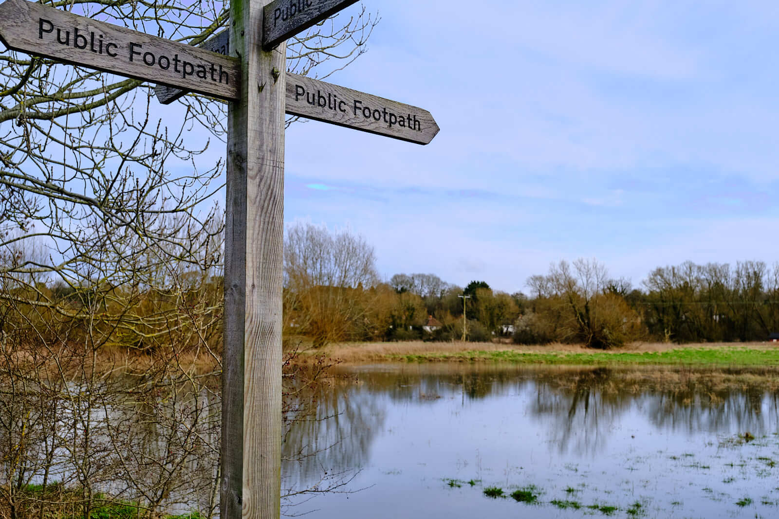 Bishop's Meadow © Adam Isler