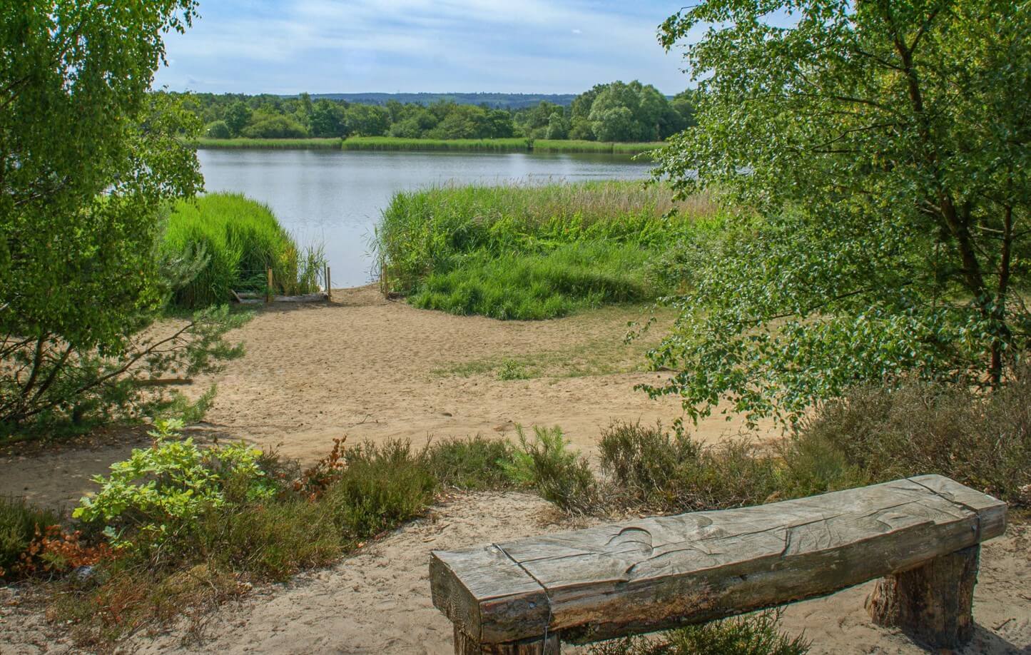 Frensham Ponds © Amanda Wordingham