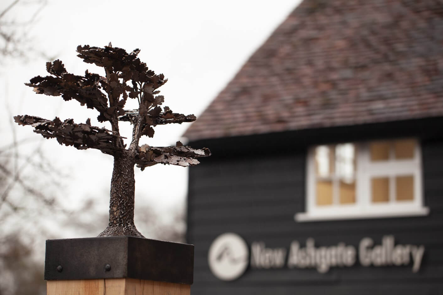 New Ashgate Gallery