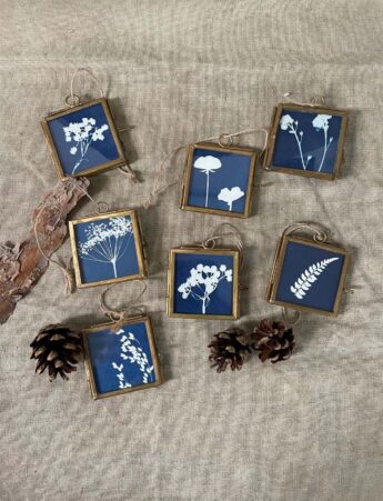 Cyanotype Demo and take-home gift