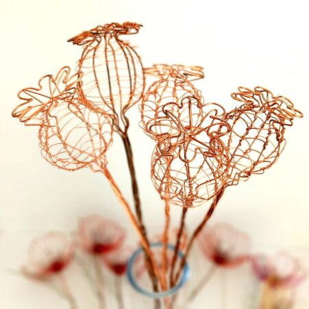 Drawing with Wire: Poppy Seed Heads