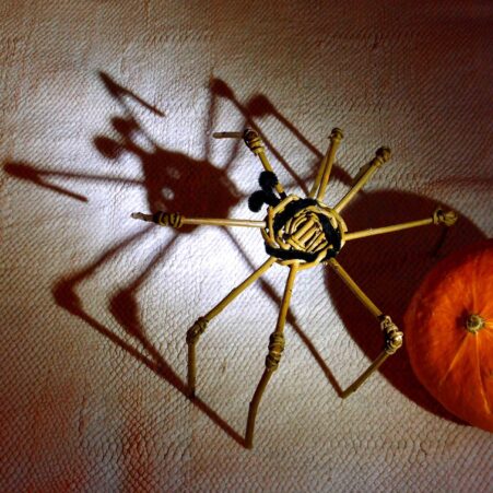 Make a Spooky Willow Spider