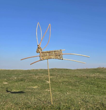 Weave a willow hare