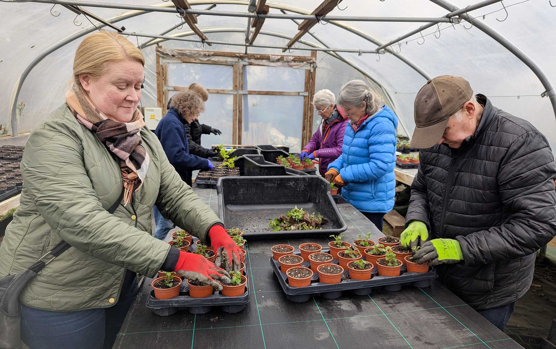 Roll up your sleeves for Farnham in Bloom