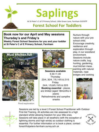 Saplings toddler forest school