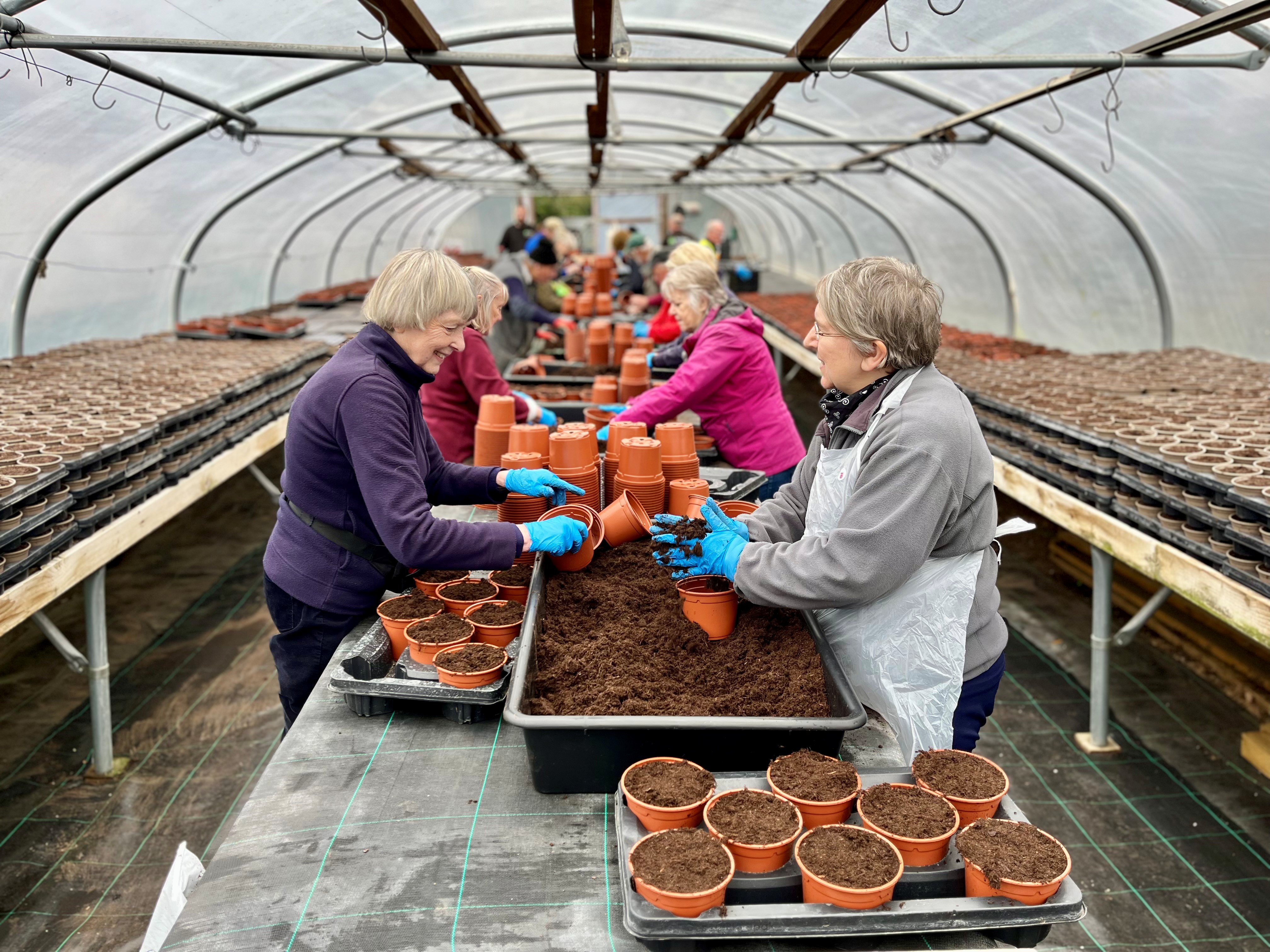 Group of people filling plant pots with soil in a greenhouse.