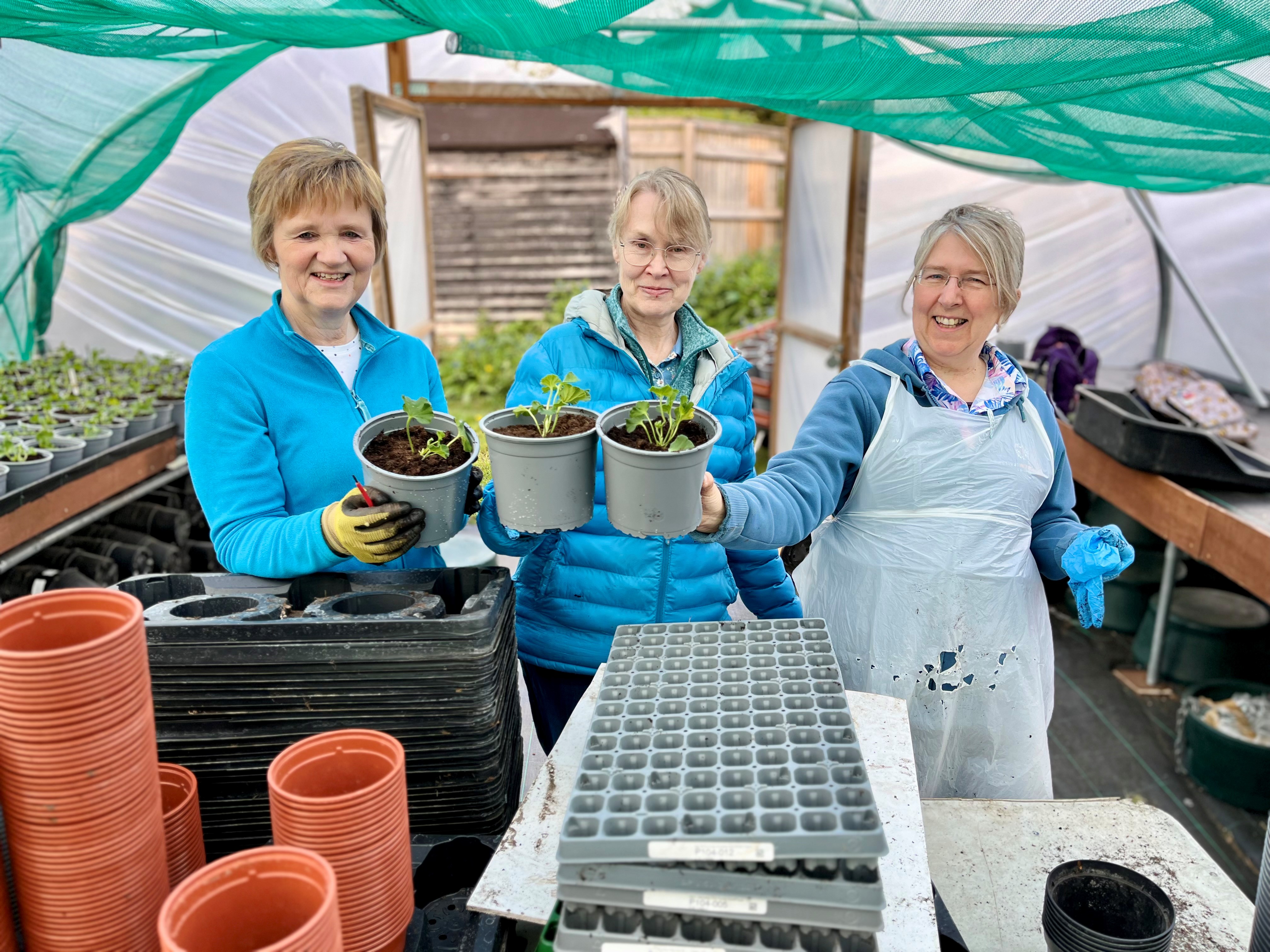 Three females holding up a potted plant in a greenhouse setting.