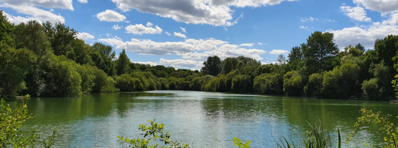 Walk for Parkinson’s