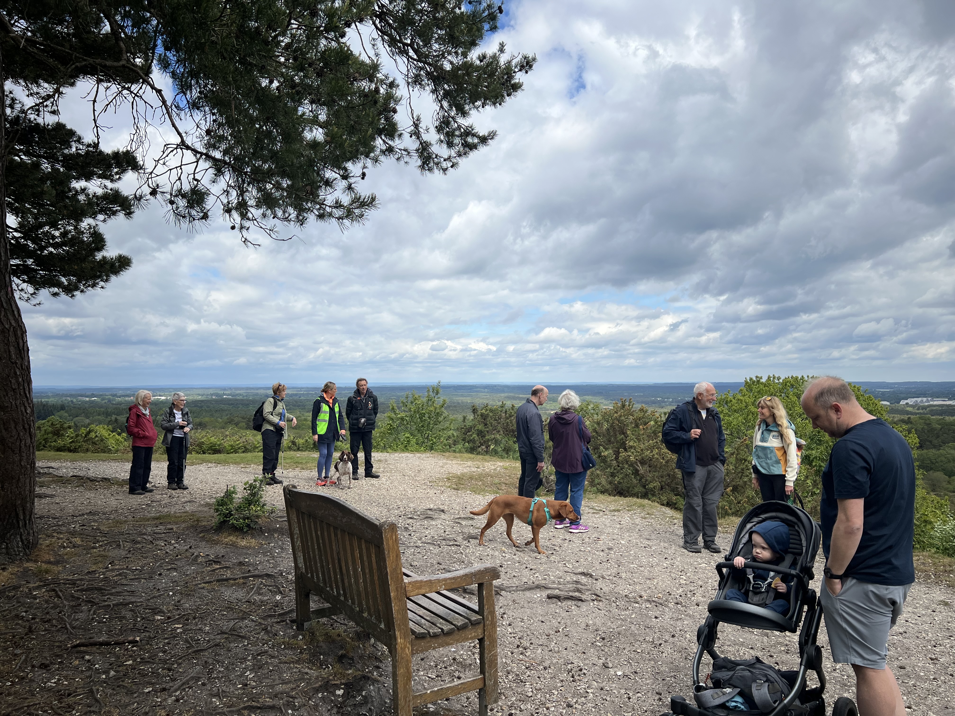 A group of walkers admiring a view.