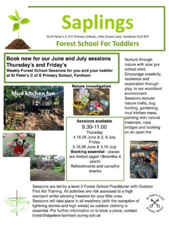 Saplings Toddler Forest School