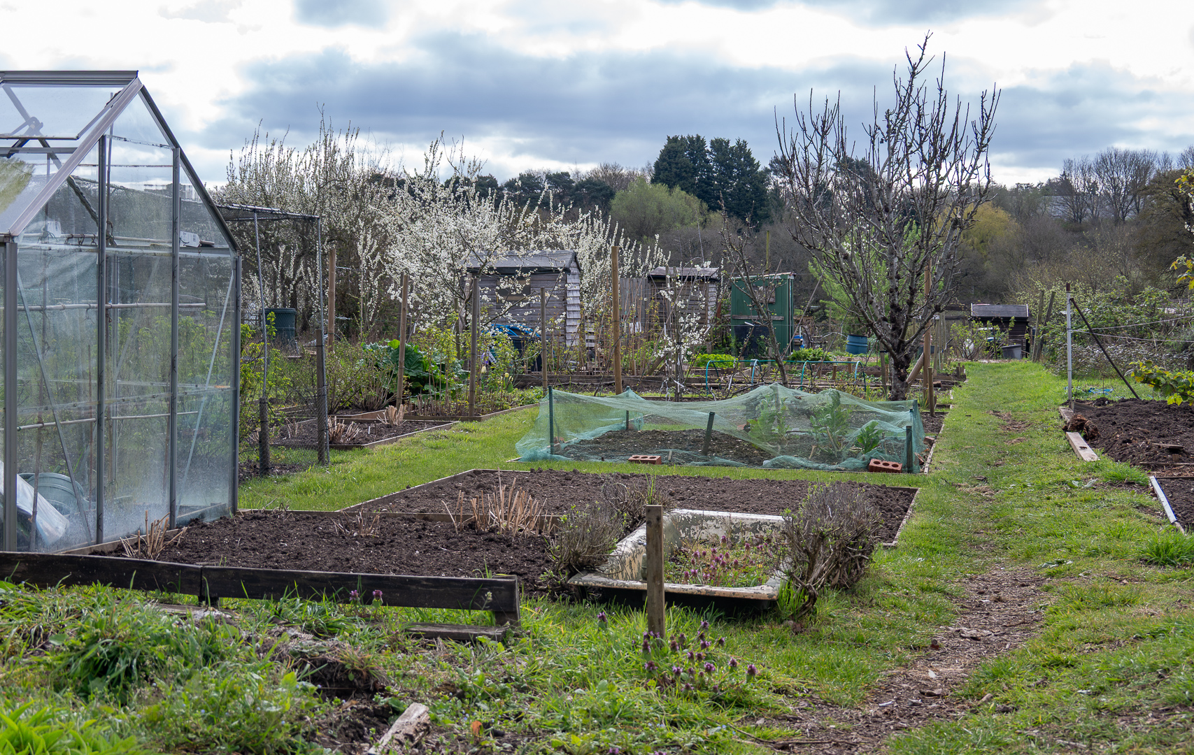 West Street Allotments