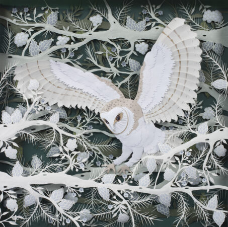 Anna Cook: Cut from Nature