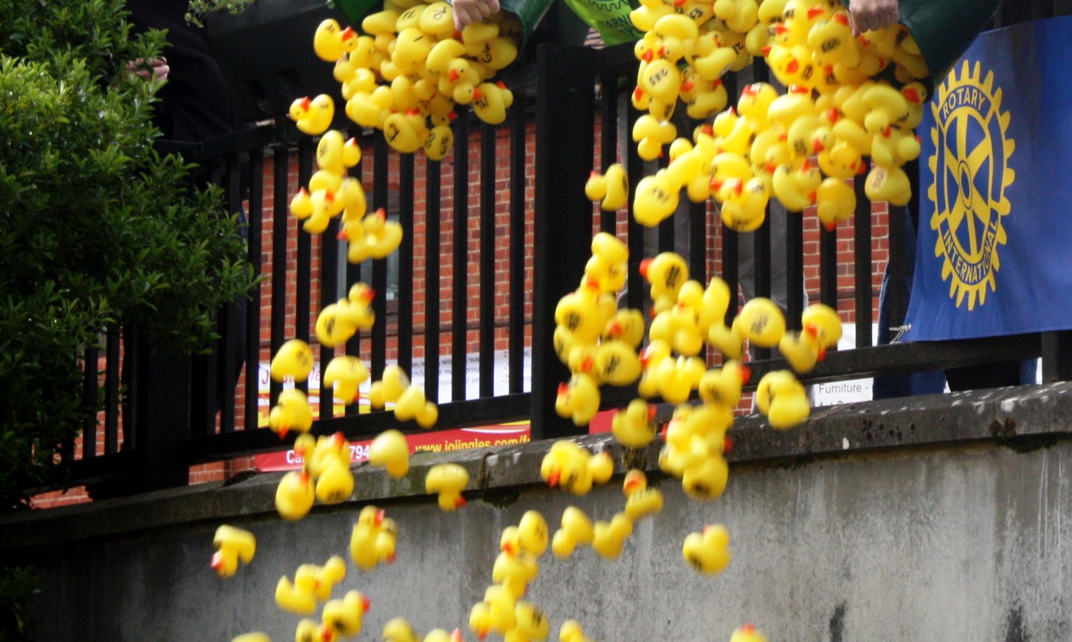 Duck Race 2